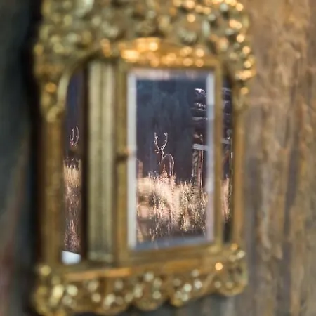La Luciole Urbain A En Famenne Ferienhaus Marche-en-Famenne