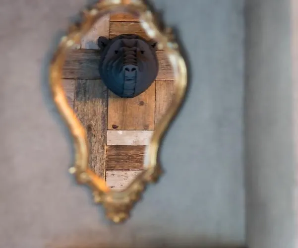 La Luciole Urbain A En Famenne 度假居 马尔什昂法梅讷